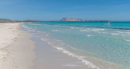 Confortable appartement pour 3 personnes avec climatisation, TV et animaux admis