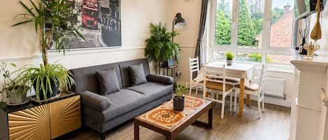 Smart TV, fireplace, books