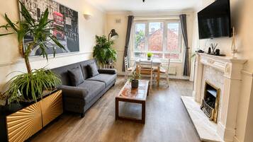 Smart TV, fireplace, books
