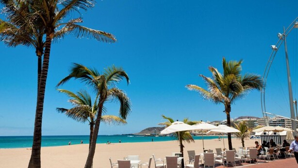 A beachfront area with palm trees, beach chairs, and umbrellas. - Nice apartment for 4 guests with WIFI, TV, terrace and pets allowed (Las Palmas De Gran Canaria)