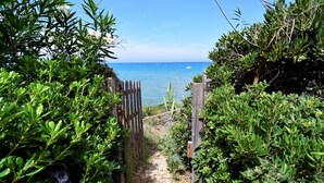 Un sendero que lleva a una playa, con una cerca de madera y abundante vegetación.