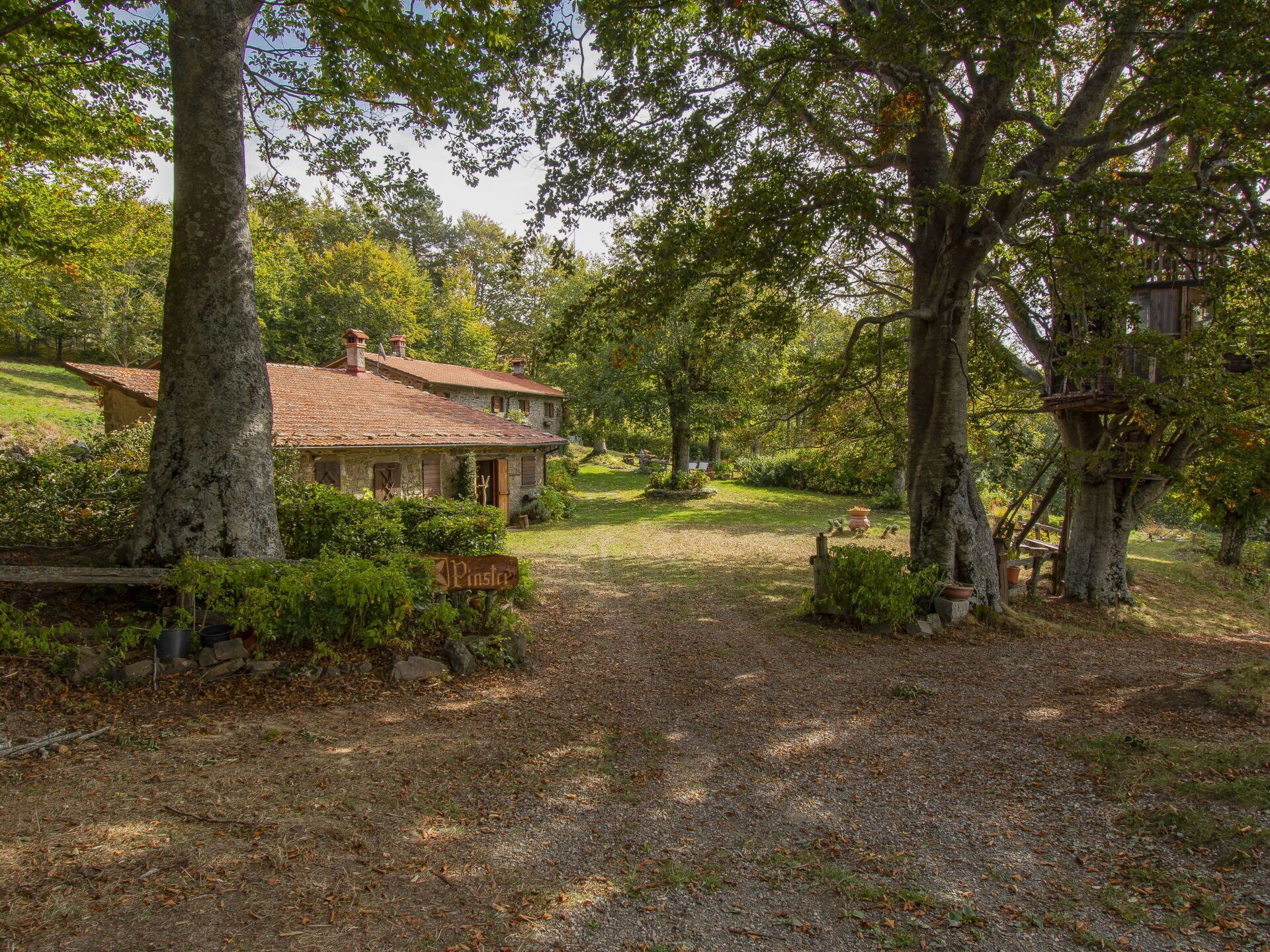 Une maison de campagne au cachet rustique, dotée d’une façade en pierre, entourée d’une zone boisée et accessible par un chemin de gravier menant à l’entrée.