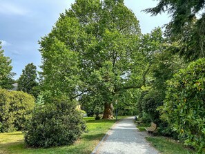 Property grounds - Cosy apartment for 6 people with WIFI, TV, patio and pets allowed (Zittau)