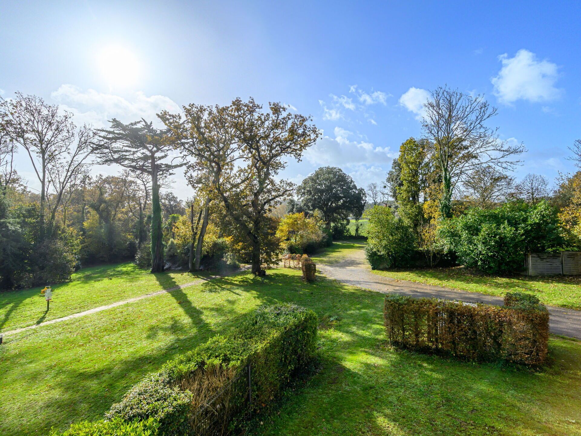 A rural landscape with a gravel path, trees, and a hedge.
