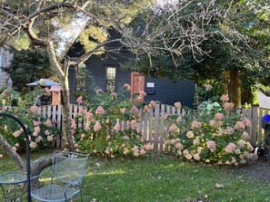 A garden with a wooden fence, a metal bench, and a house with a number sign.