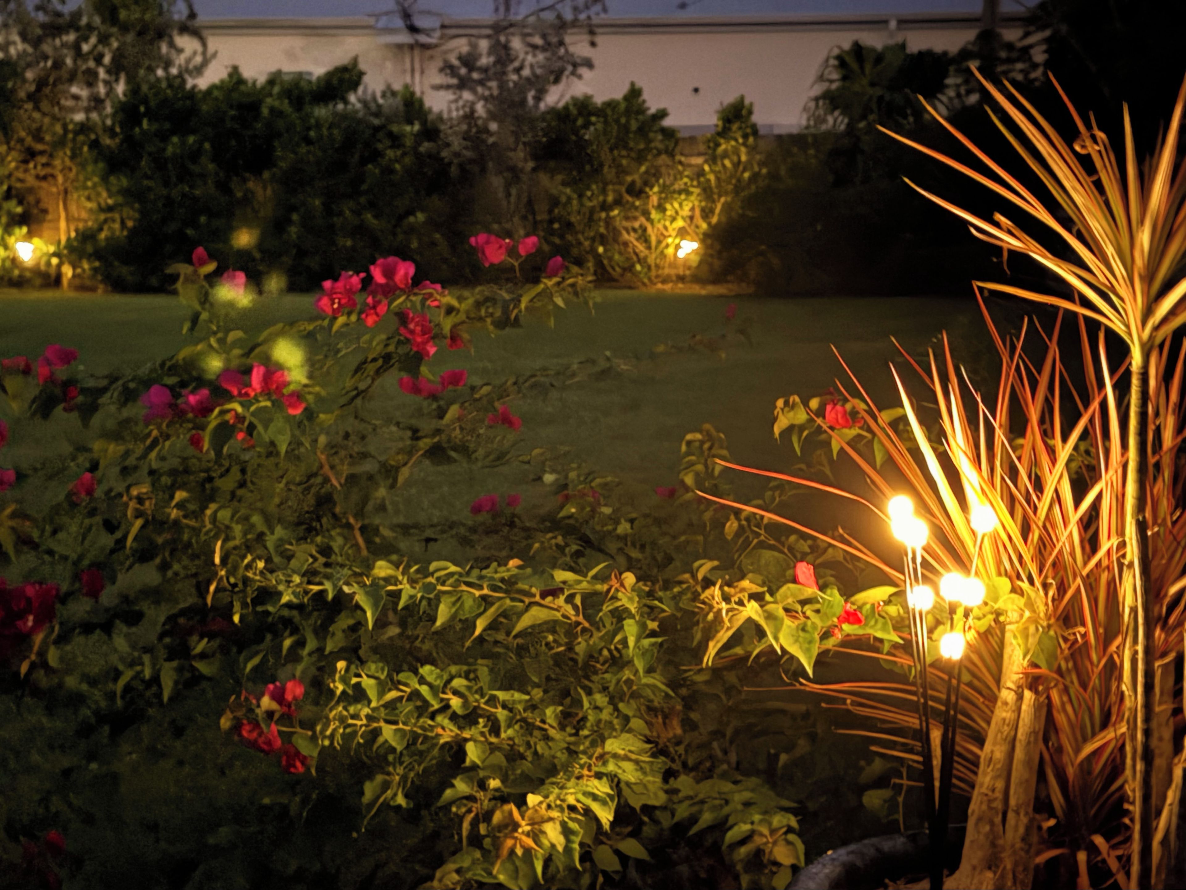 Ein Garten mit verschiedenen Pflanzen und Blumen, einem Pfad und einem Gebäude im Hintergrund.