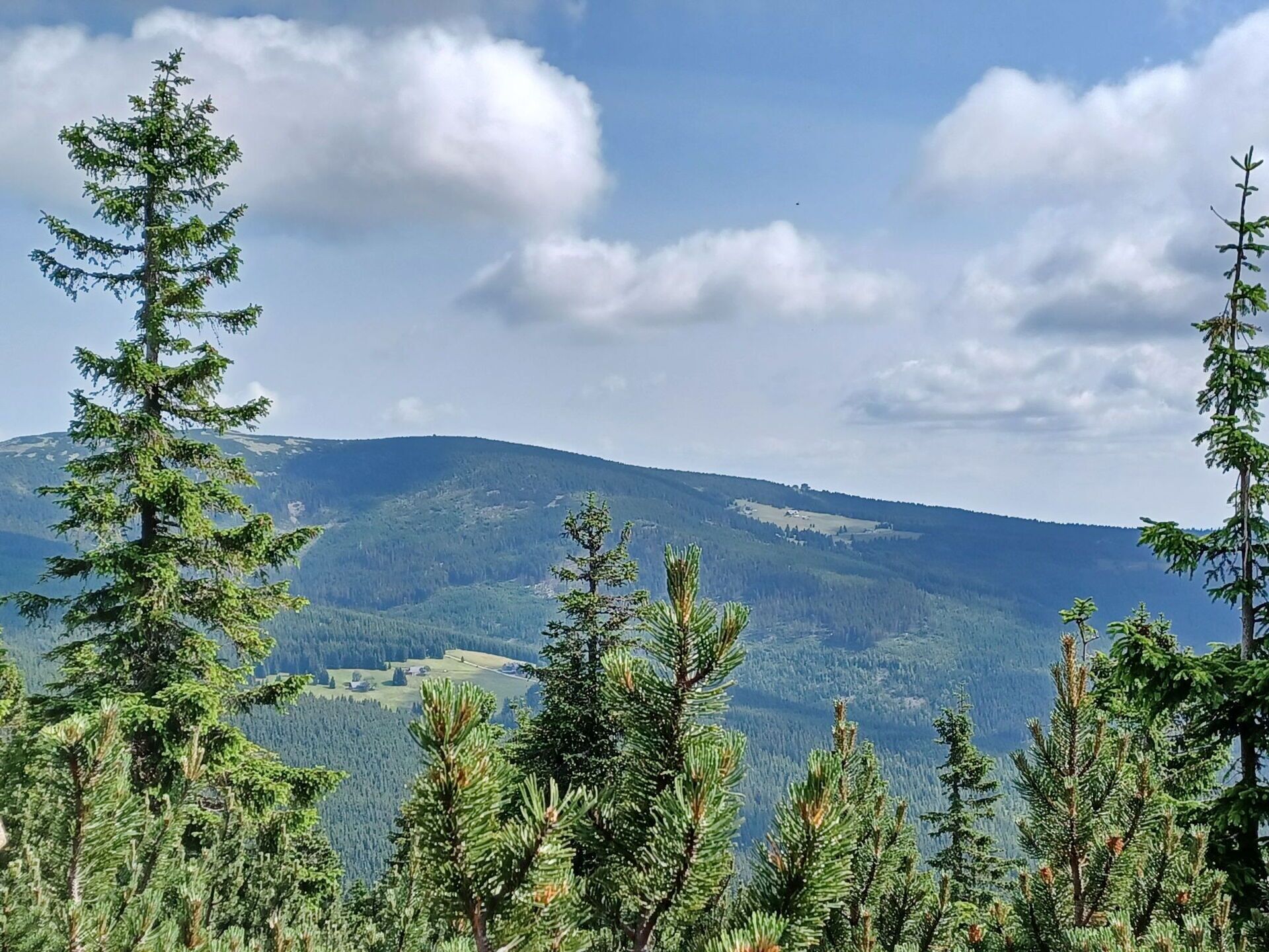 Cloud, Sky, Plant, Plant Community, Mountain, Ecoregion, Natural Landscape, Highland, Larch, Tree