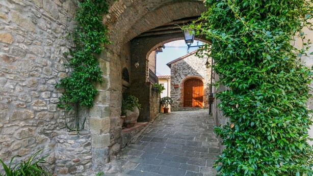 A stone pathway leading to a rustic building with an arched entrance, surrounded by greenery and potted plants. - Nice apartment for 4 people with WIFI, A/C, pets allowed and panoramic view (Capannori)