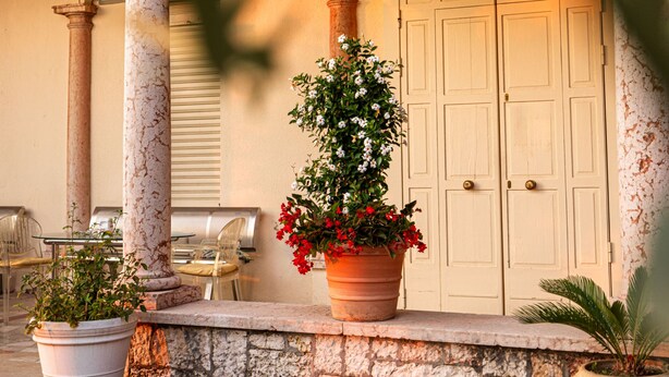 A building with a sign reading 'Oggetti Religiosi al Santuario' and a door. There are potted plants and a brick floor. - Locanda al Santuario (Peschiera del Garda)