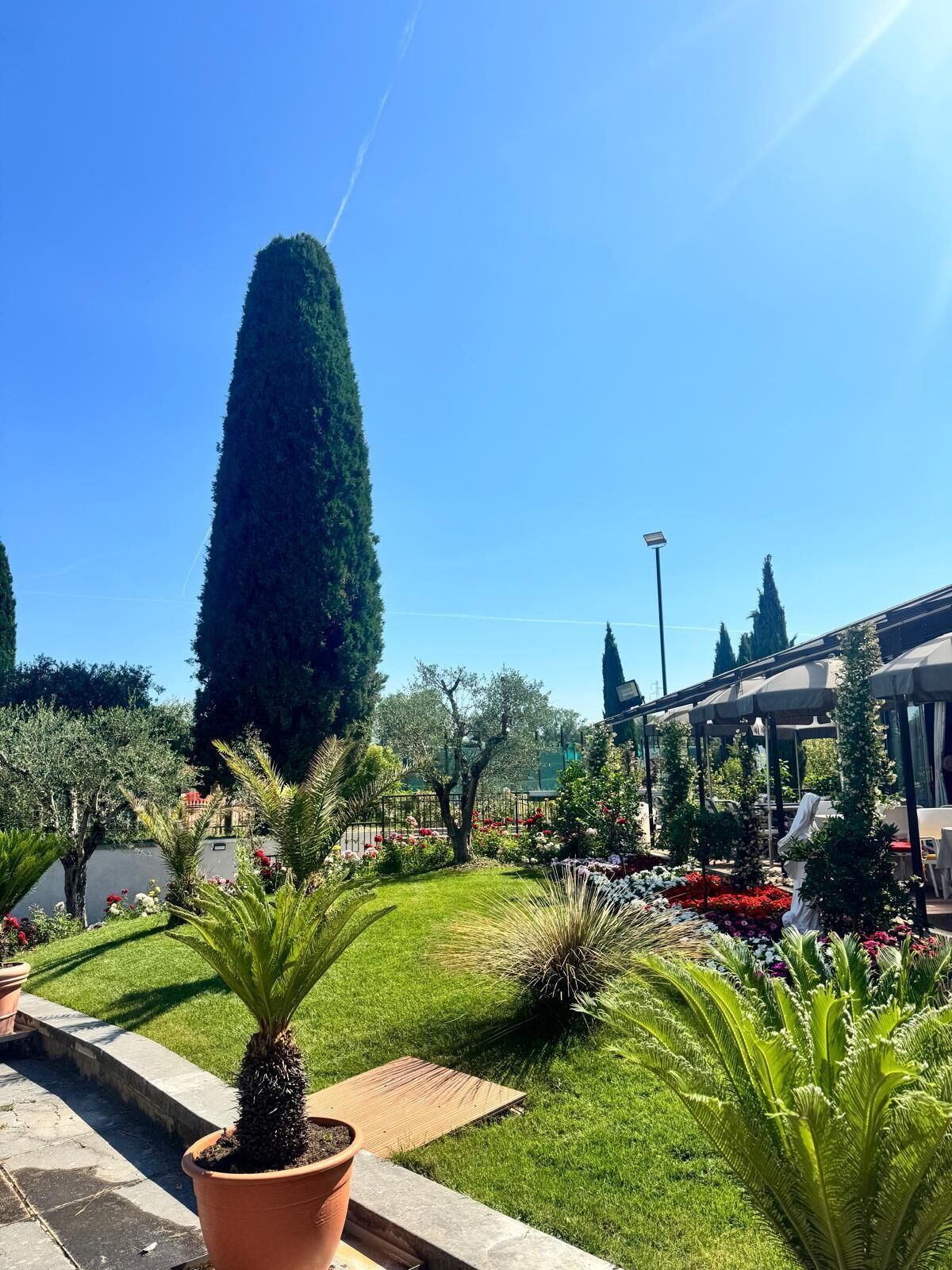 Giardino