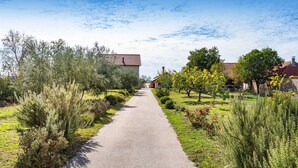 Property grounds - Holiday home Joy with pool (Suhovare)