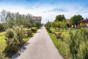 Property grounds - Holiday home Joy with pool (Suhovare)