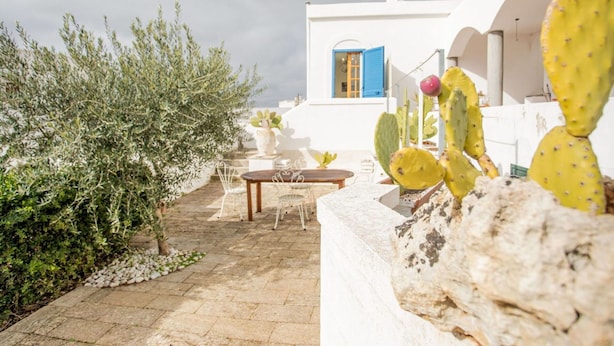Une cour avec une table et des chaises, des cactus et un bâtiment blanc aux volets bleus.