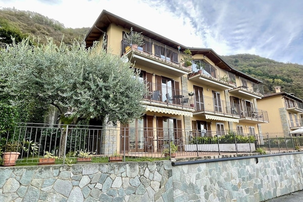 L'Eau, Plante, BĂątiment, PropriĂ©tĂ©, Ciel, Piscine, Bleu Azur, Arbre, Maison, FenĂȘtre