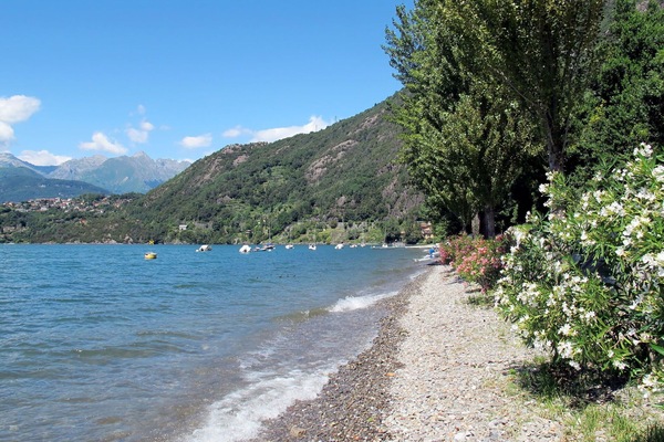 L'Eau, Plante, Bâtiment, Propriété, Ciel, Piscine, Bleu Azur, Arbre, Maison, Fenêtre