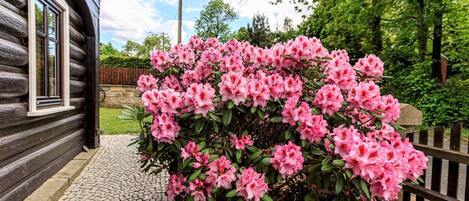 Jardines del alojamiento