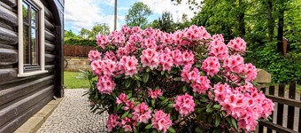 Lovely apartment for 4 guests with WIFI, TV and terrace