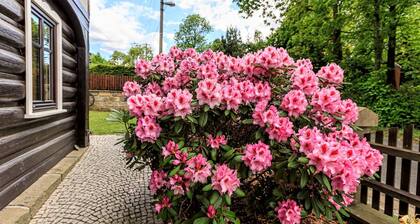 Beautiful apartment for 4 guests with WIFI, TV and terrace