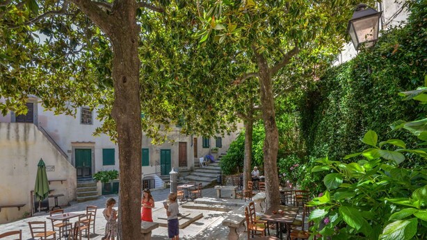 An outdoor café with tables and chairs, surrounded by trees and a building with steps. - Cosy apartment for 2 people with WIFI, A/C, balcony and pets allowed (Marciana)