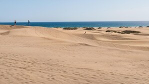 Et ørkenlandskab med sandklitter og en strand.