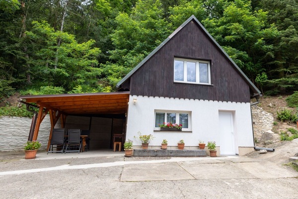 Plante, Propriété, Fenêtre, Bâtiment, Chalet, Arbre, Bois, Maison, Toit, Paysage