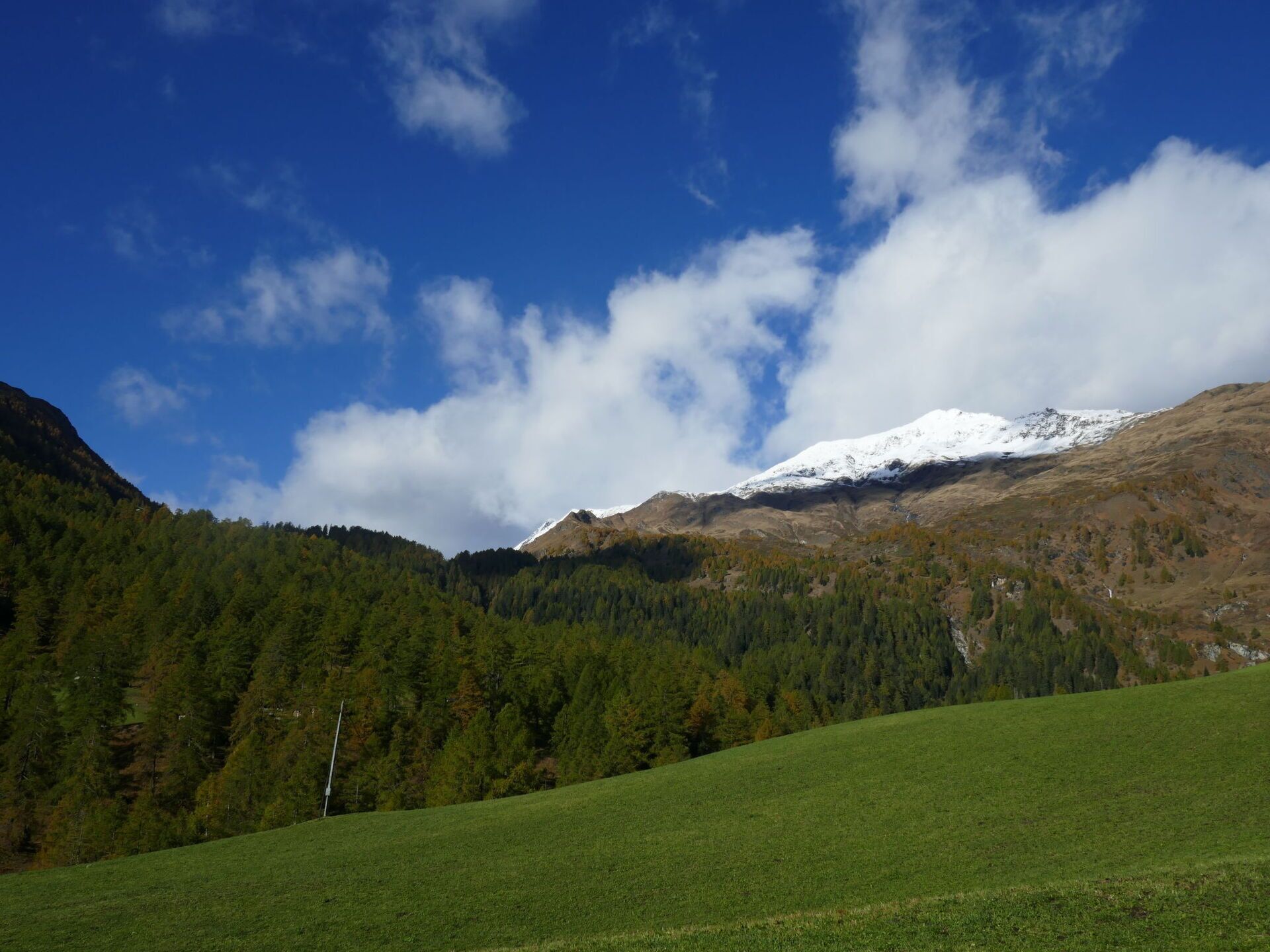 A mountainous landscape with a snow-capped peak, dense forested hills, and a clear blue sky.