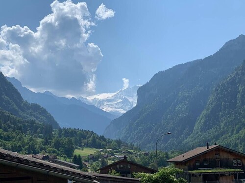 Charming Alpine Retreat (15 min to Grindelwald ski resort)