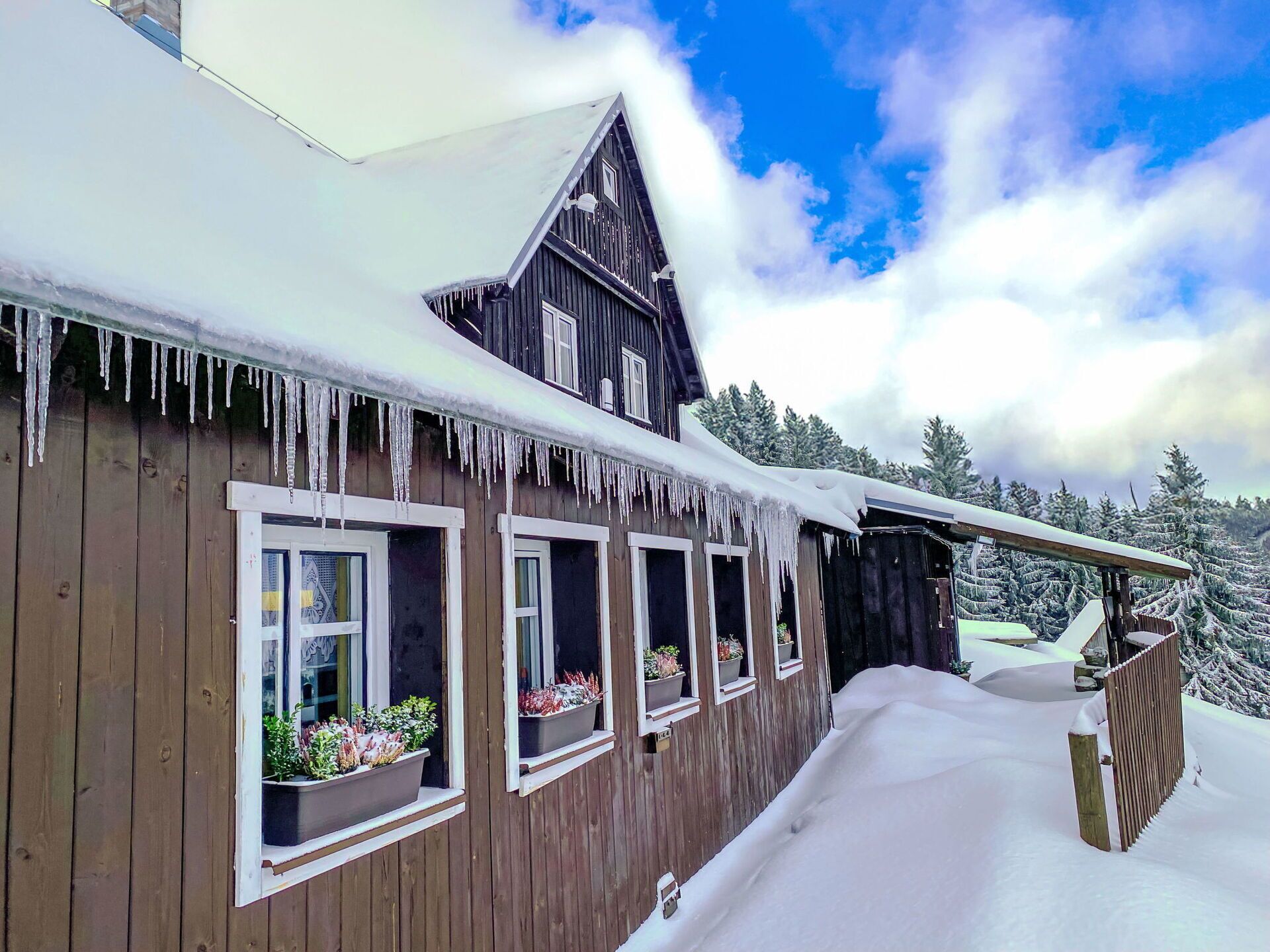 Lumihunnun peittämä puinen mökki, jonka räystäiltä roikkuu jääpuikkoja.