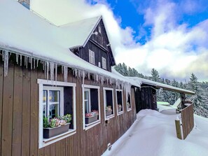Exterior - Wonderful private villa for 23 guests with WIFI, TV, terrace, pets allowed and panoramic view (Dvur Králové Nad Labem)