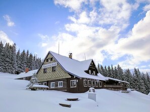 Exterior - Beautiful private villa for 23 guests with WIFI, TV, terrace, pets allowed and panoramic view (Dvur Králové Nad Labem)