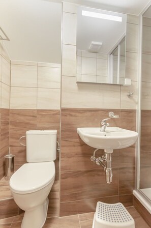 Bathroom - Wonderful private villa for 23 guests with WIFI, TV, terrace, pets allowed and panoramic view (Dvur Králové Nad Labem)