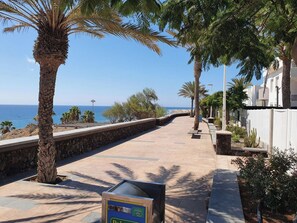Een boulevard aan zee met palmbomen, een stenen muur en uitzicht op de oceaan.