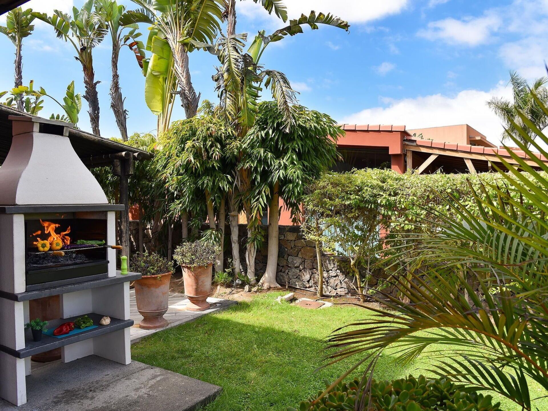 A backyard with a barbecue grill, potted plants, and a stone wall.