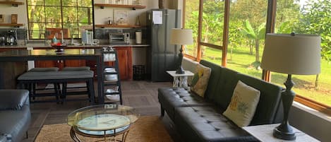 Smart TV, DVD player, video library