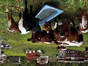 Servei de restauració a l'aire lliure