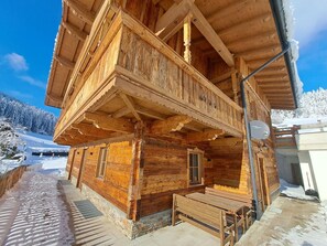 Exterior - Cosy apartment for 5 guests with WIFI, TV and terrace (Wildschönau)