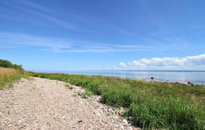 Nær stranden og fisking