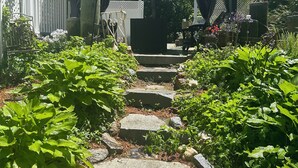 Een tuinpad leidt naar een tuinhuis met een houten dak, omgeven door weelderige begroeiing en stapelstenen.