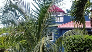 Un jardin avec des palmiers, une maison bleue avec un toit rouge et une zone dallée.