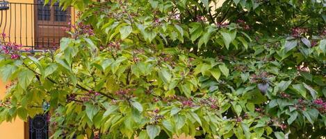 Details aan de buitenkant