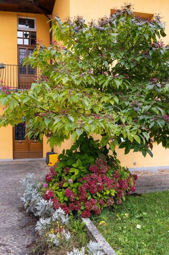 Nice apartment for 4 guests with WIFI and TV