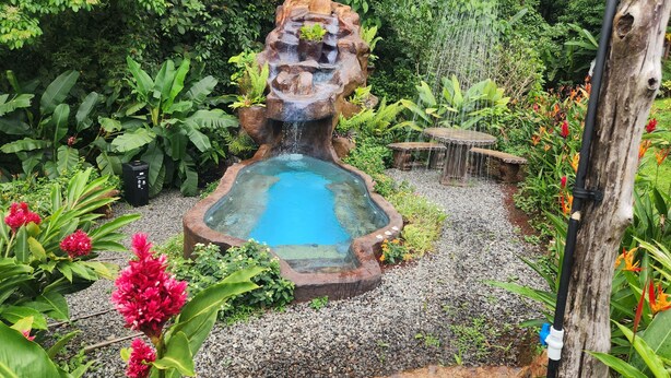 A garden with a central water feature, surrounded by lush greenery and flowering plants. - Cabañas Caeli, Peaceful Rainforest Retreat with Stunning Views (Peñas Blancas)