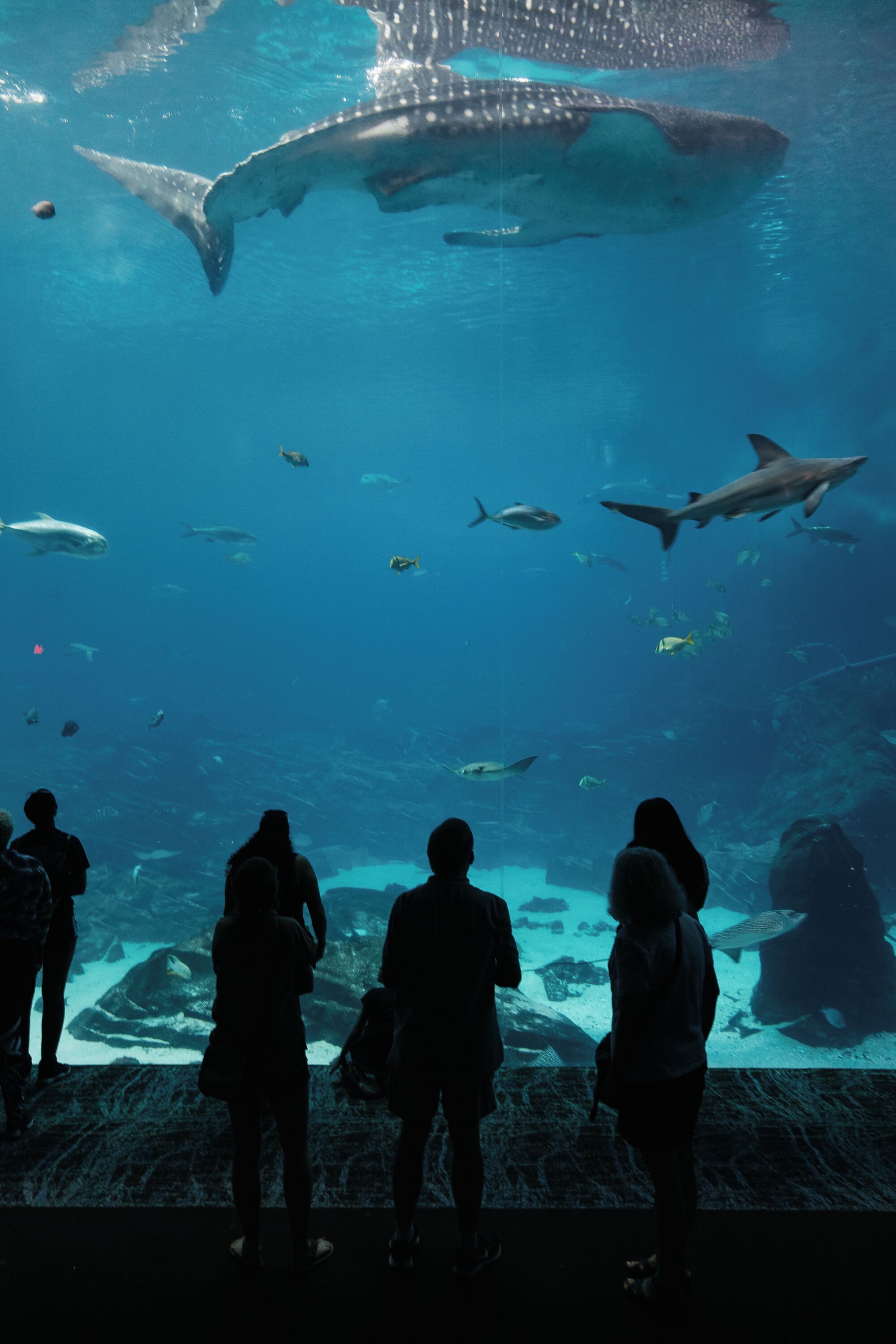 Foto - Hotel Granada, a Design Hotel