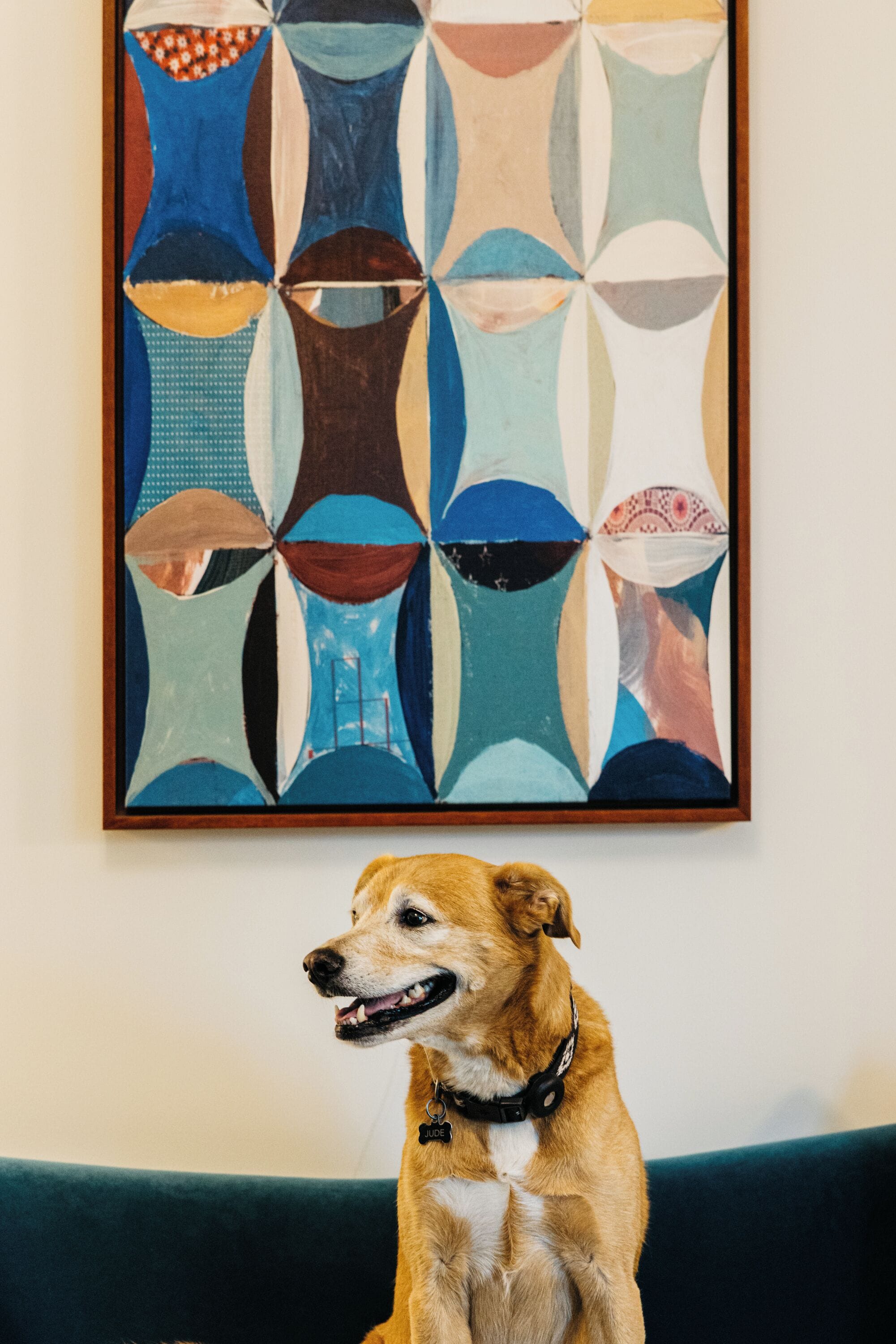 Un cane seduto su un divano verde con un quadro astratto dai colori vivaci sullo sfondo.