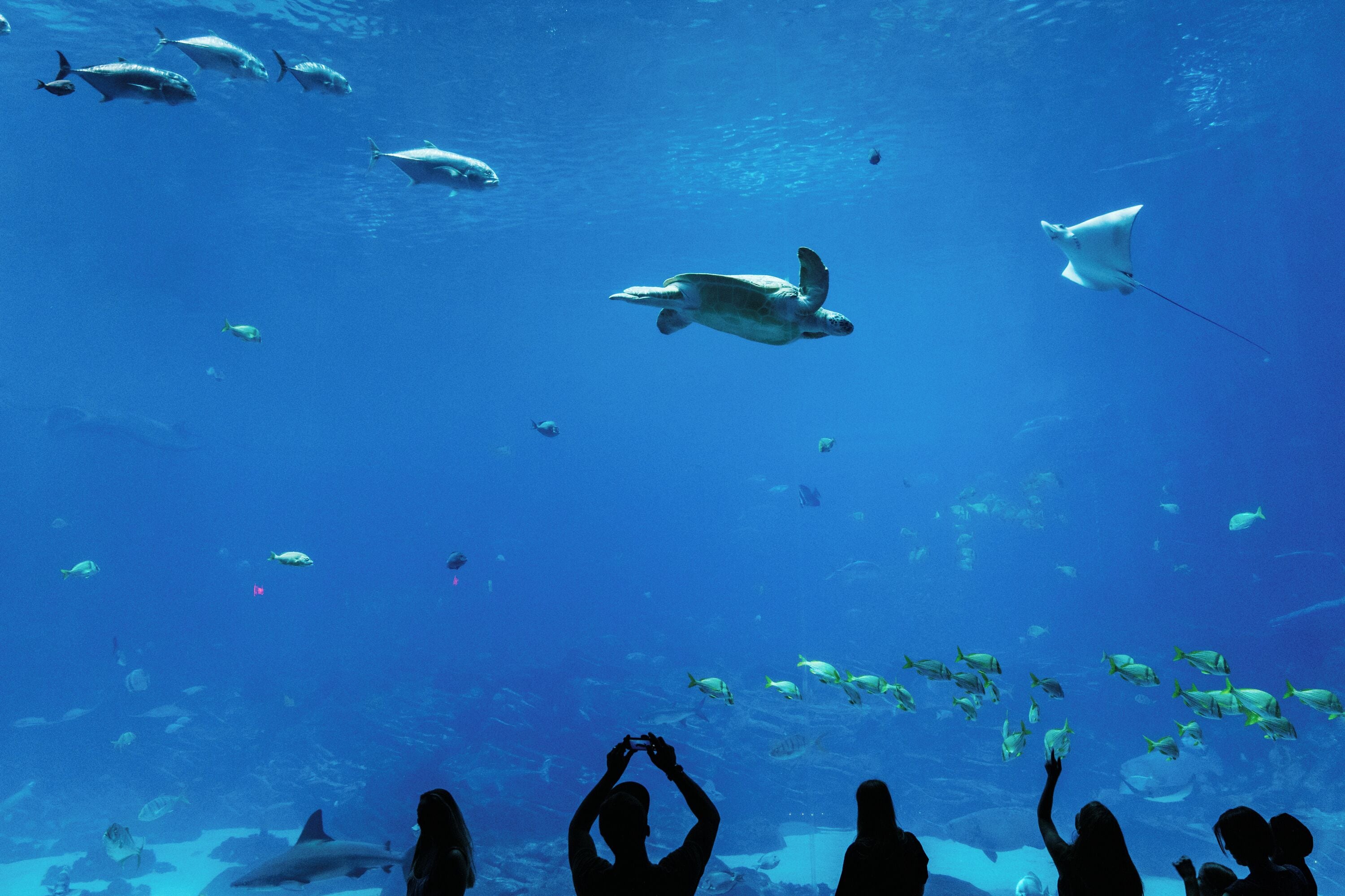 Foto - Hotel Granada, a Design Hotel