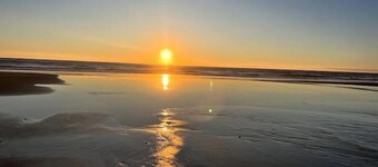 Cozy Cottage at the Beach near Yachats! Dog Friendly and Free EV Charging!