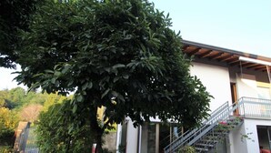 Un bâtiment moderne doté d’un escalier menant à un balcon, le tout entouré de verdure et de plantes en pot.
