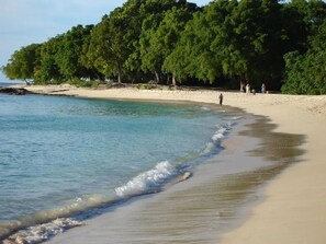 Apartamento, 3 quartos, sacada, vista para o jardim | Praia