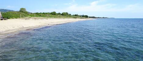 A beach with clear water, sandy shore, and greenery in the background.