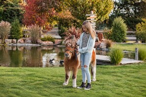 A person standing with a pony in a grassy area with a pond and autumn foliage in the background.